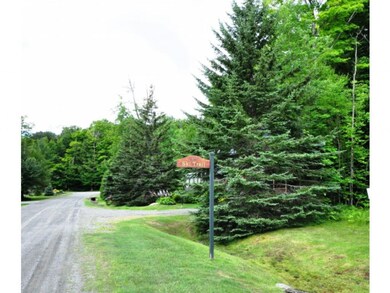 8 Brumms Way unit 8C, Dover, VT 05356 - photo 2