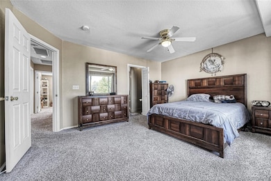 10329 Halleys Way, Littleton, CO 80125 - photo 4