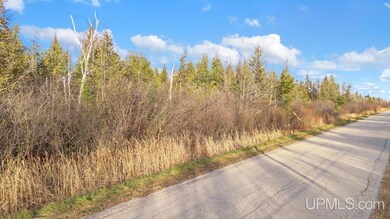 TBD 11th Rd, Escanaba, MI 49829 - photo 5