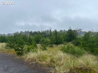 806 318 Place, Ocean Park, WA 98640 - photo 5