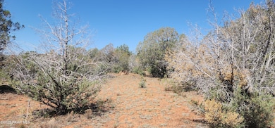 408 N2 Caprica Rd, Ash Fork, AZ 86320 - photo 5