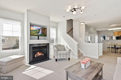 22549 Blue Elder Terrace, Ashburn, VA 20148 - photo 4