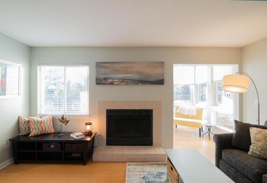 Wood burning fireplace