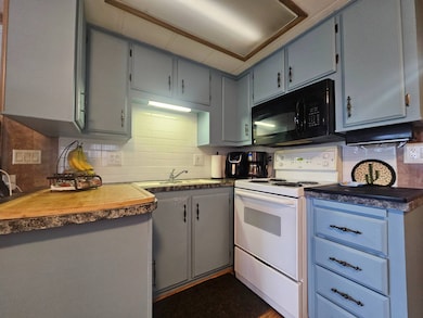 8700 E University Dr unit 1529, Mesa, AZ 85207 - photo 6