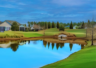 Pond