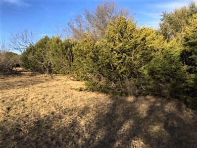 L7BA Floyd Ct, Weatherford, TX 76087 - photo 5