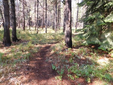 16951 Fontana, Bend, OR 97707 - photo 7