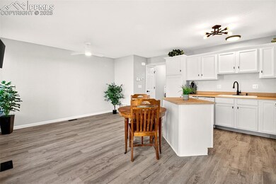 2532 Mesa Springs View, Colorado Springs, CO 80907 - photo 6