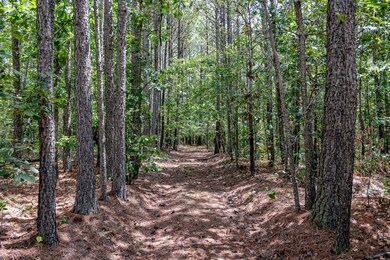 0 Brush Creek Rd unit 40, Hohenwald, TN 38462 - photo 4