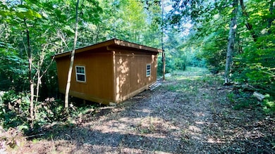 Primitive Cabin Pic 2