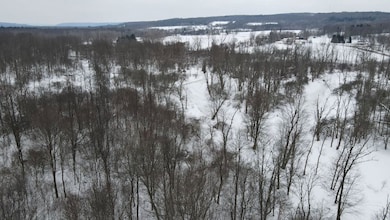 5623 Route 380, Sinclairville, NY 14782 - photo 5