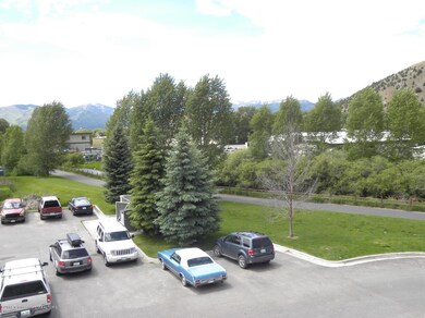 Creek view