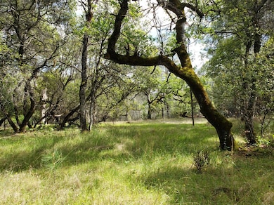 0 Eagle Nest Way unit 225015999, Oregon House, CA 95962 - photo 4