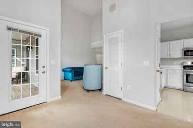 46606 Drysdale Terrace unit 302, Sterling, VA 20165 - photo 7