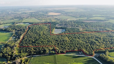 00 Herrington Rd, Hazlehurst, GA 31539 - photo 4