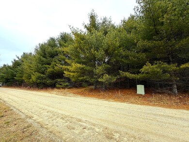 Lot 4 Emery Rd, Parsonsfield, ME 04047 - photo 5