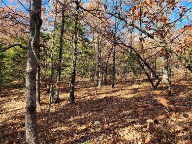 0 County Road 18, Compton, AR 72601 - photo 3