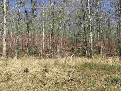 0 County Road 423, Epps Township, MO 63901 - photo 4