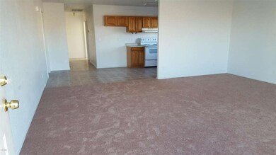 Front Door/Living Area