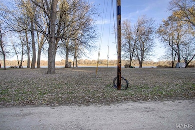 141 Alexander Ln, Kampsville, IL 62053 - photo 3