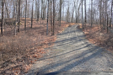 0 Electronics Rd, Clinton Corners, NY 12514 - photo 3