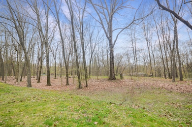 6029 Farhills Way, Alamo Township, MI 49009 - photo 2