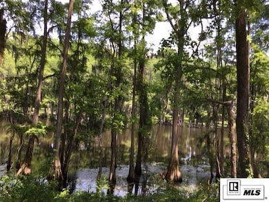 9218 Desiard Trace, Sterlington, LA 71280 - photo 6