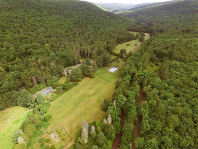 895 Lundy Rd, Wawarsing, NY 12489 - photo 3