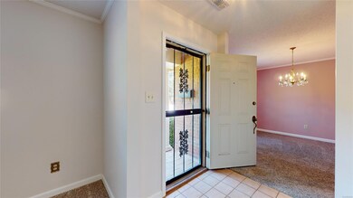 Storm Door allows Natural Light into Foyer