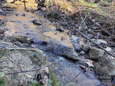 15 +/- Acres Riddle Branch Rd, Burnsville, NC 28714 - photo 3