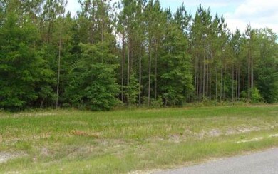 TBD Highfield Terrace, Fort White, FL 32008 - photo 2