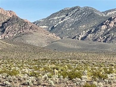 341 E Aardvark Rd, Pahrump, NV 89060 - photo 3