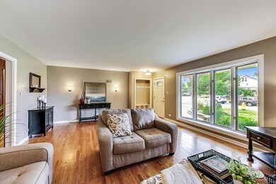 527 Briarhill Ln, Glenview, IL 60025 - photo 6