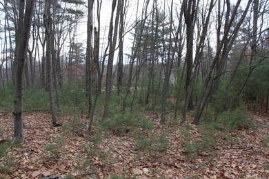 13 Longhorn Rd, Union Township, PA 16652 - photo 3