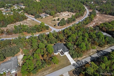 5507 W Paprika Loop, Homosassa, FL 34448 - photo 3