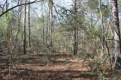 0 River Bend Rd, Columbia, MS 39429 - photo 2
