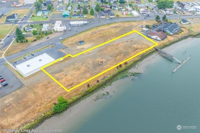 0 E Robert Bush Dr unit NWM2276944, South Bend, WA 98577 - photo 4