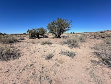 Tbd Longo Ln, Saint Johns, AZ 85936 - photo 2