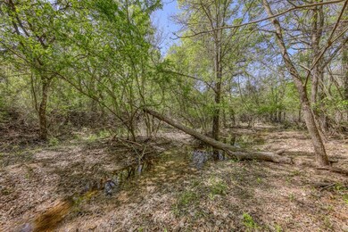 TBD 62 Bosal Ln, Weatherford, TX 76088 - photo 5