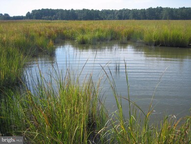 0 Orchard Rd unit 1000977819, Trappe, MD 21673 - photo 4