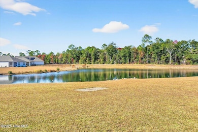 1271 Rippling Cove Loop, Supply, NC 28462 - photo 2