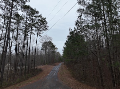 0 Henderson Rd unit 25381724, Odenville, AL 35120 - photo 3