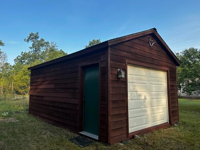 3743 N Peacock Trail, Irons, MI 49644 - photo 4