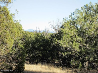 22171413 Unnamed Rd, Ash Fork, AZ 86320 - photo 7