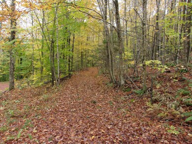 0 Foliage Ln, Westmore, VT 05822 - photo 2