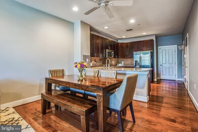 2404 Potomac Ave unit 101, Alexandria, VA 22301 - photo 5