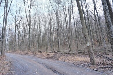 530 Tall Oak Ln, Lewisburg, PA 17837 - photo 3