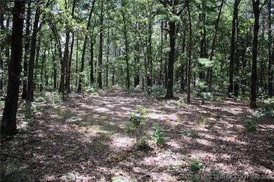 243 S 620 Rd, Jay, OK 74346 - photo 6