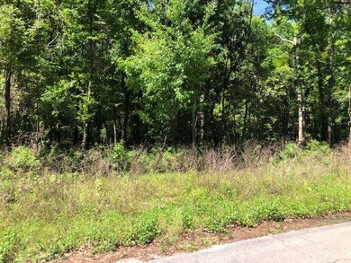 XX Oakwood Trail, Crawfordville, FL 32327 - photo 3