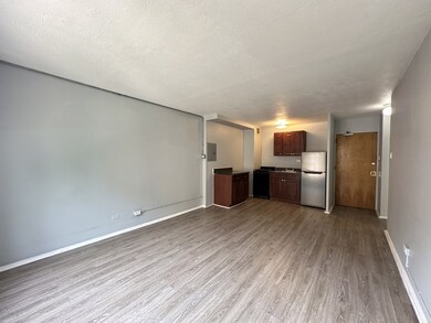 7333 N Ridge Blvd unit 211, Chicago, IL 60645 - photo 7